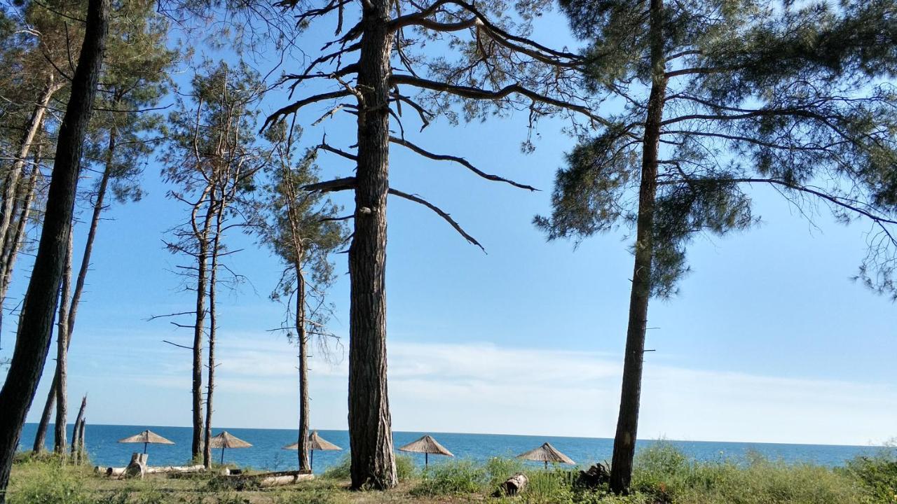 Дом для отпуска Лукоморье Пицунда Экстерьер фото
